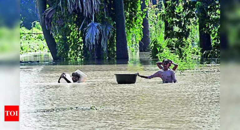 गंगा बाढ़: 10 जिलों में बाढ़ से राहत नहीं, गंगा का जलस्तर और बढ़ सकता है | पटना समाचार