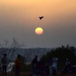 MP September 23 Weather Updates: Sunny Weather In 23 Districts Including Gwalior, Ujjain; Heavy...