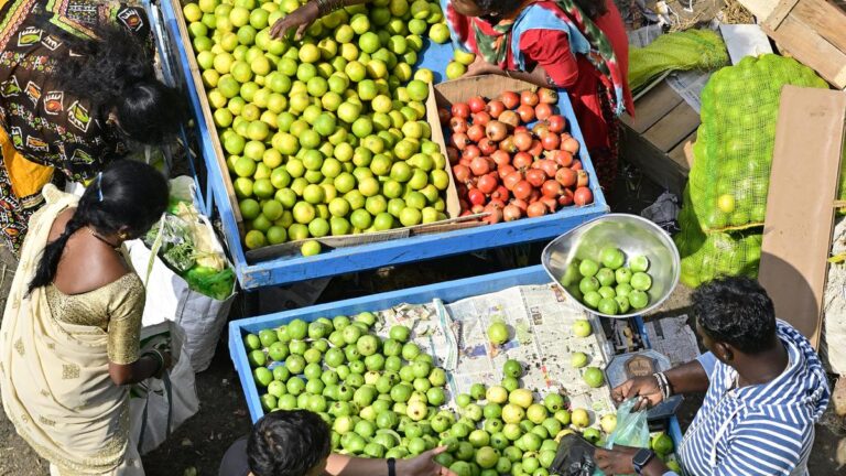 त्योहारी सीजन में आवश्यक वस्तुओं की कीमतों में बढ़ोतरी की संभावना नहीं: केंद्र