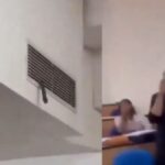 Snake Enters Classroom Through Air Conditioning Vent At Amity University Noida, Causing Panic