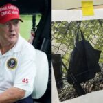 Donald Trump 2nd Assassination Attempt: Former President Safe After Firing At His Florida Golf Club,...