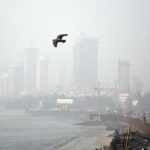 Mumbai: BMC Warns Builders To Adhere To Air Pollution Mitigation Plan