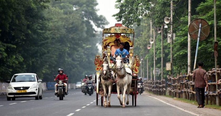 Uncertainty looms over Kolkata’s horse-drawn carriages