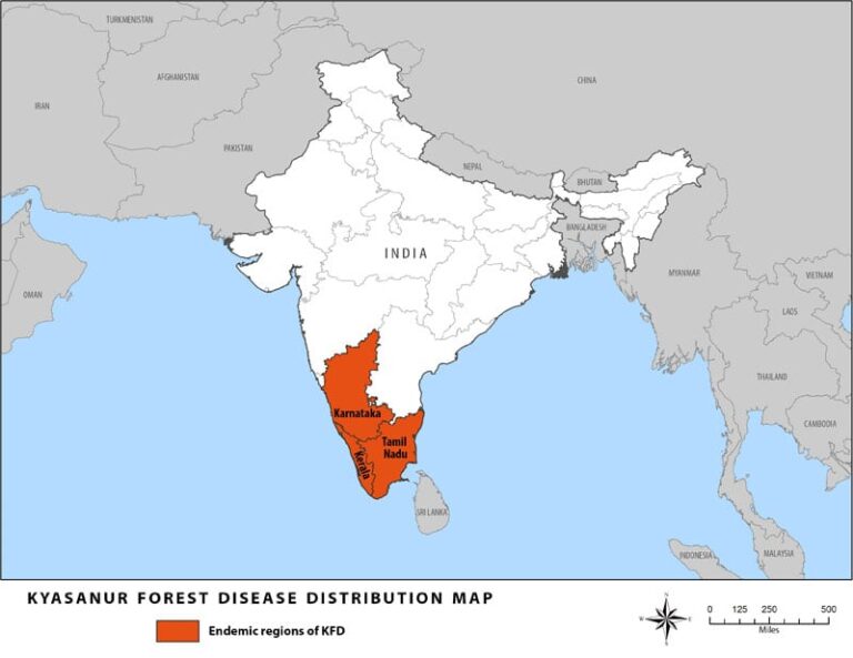 केएफडी वैक्सीन 2026 तक उपयोग के लिए उपलब्ध होने की संभावना: कर्नाटक स्वास्थ्य मंत्री