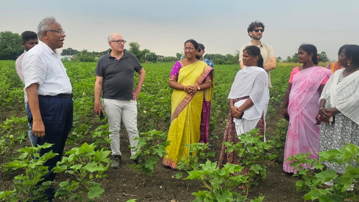 अमेरिकी प्रतिनिधियों ने प्राकृतिक कृषि तकनीकों का अध्ययन करने के लिए पलनाडु में कृषि क्षेत्रों का दौरा किया