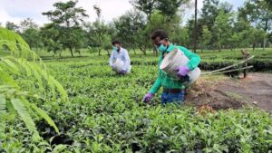 कंपनी कार्बन कैप्चर को बढ़ाने के लिए खनन धूल का उपयोग करती है