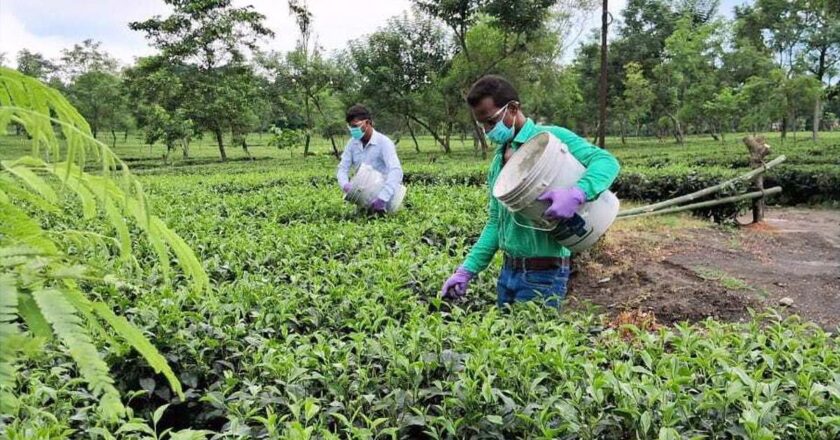 कंपनी कार्बन कैप्चर को बढ़ाने के लिए खनन धूल का उपयोग करती है