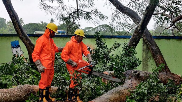 चक्रवात दाना के भारत पहुंचने से बाढ़ का खतरा, बिजली लाइनें और पेड़ उखड़े