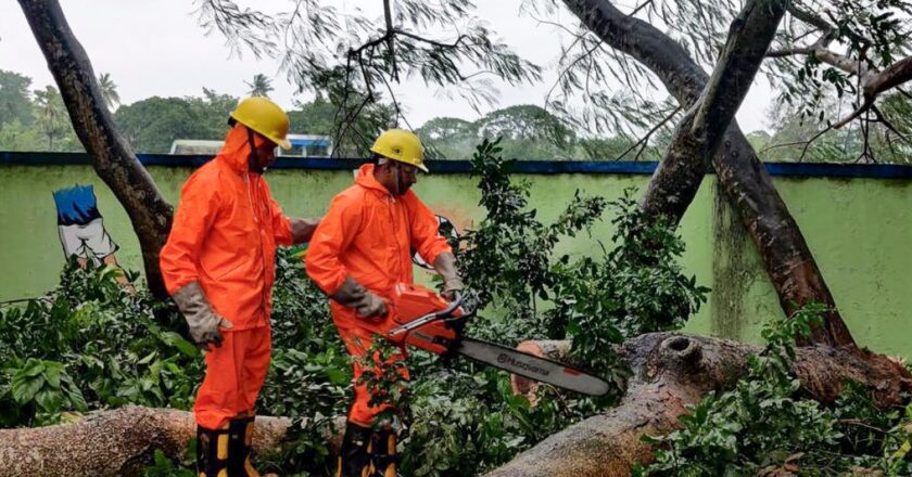 चक्रवात दाना के भारत पहुंचने से बाढ़ का खतरा, बिजली लाइनें और पेड़ उखड़े