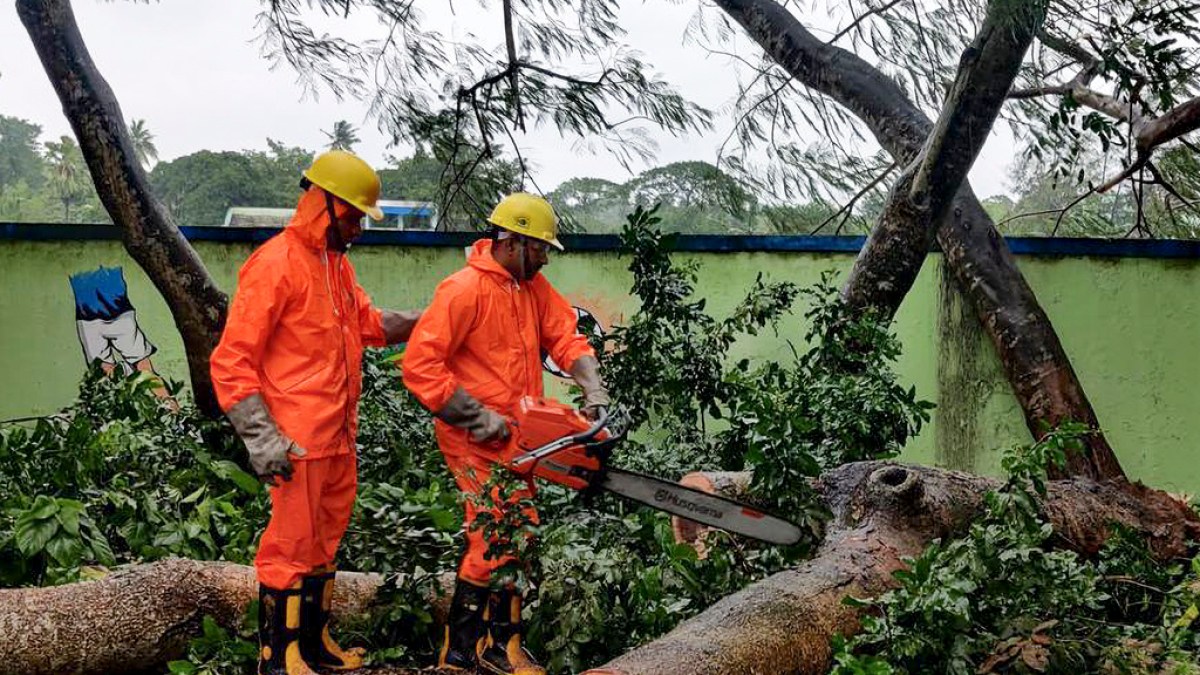 चक्रवात दाना के भारत पहुंचने से बाढ़ का खतरा, बिजली लाइनें और पेड़ उखड़े | मौसम समाचार