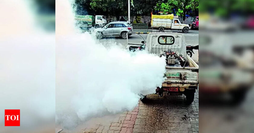 डेंगी चेतावनी: त्योहारों के मौसम में विशेषज्ञों ने सावधानी बरतने का आग्रह किया