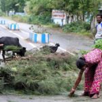 पश्चिम बंगाल में चक्रवात दाना: ममता बनर्जी का कहना है, 'एक व्यक्ति की मौत हो गई।'