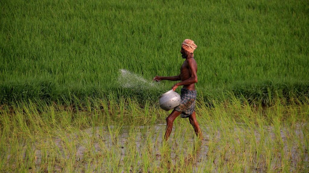 भारत में गरीब किसानों पर जलवायु परिवर्तन का प्रभाव अधिक गंभीर: एफएओ रिपोर्ट