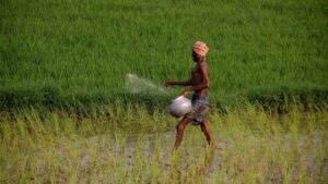 भारत में गरीब किसानों पर जलवायु परिवर्तन का प्रभाव अधिक गंभीर: एफएओ रिपोर्ट