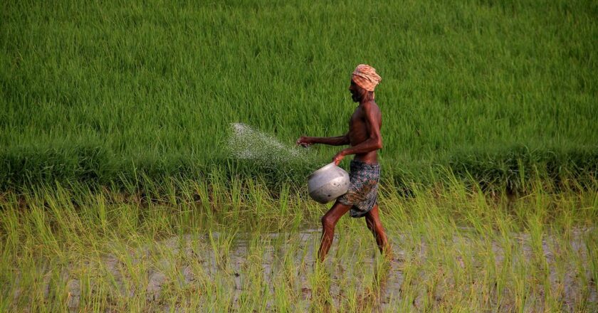 भारत में गरीब किसानों पर जलवायु परिवर्तन का प्रभाव अधिक गंभीर: एफएओ रिपोर्ट