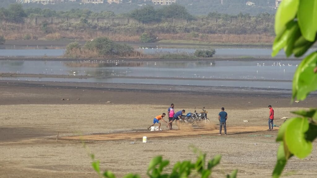 Navi Mumbai: 289-Hectare Panje Wetland Dries Up, Environmental Groups Warn Of Ecological Crisis