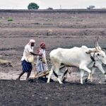 उचित मुआवजा अधिनियम, 2013 के अलावा अन्य कानूनों के तहत अर्जित भूमि के लिए प्राप्त मुआवजे के लिए आयकर से छूट की अनुपस्थिति के मुद्दे का समाधान करें, कर्नाटक उच्च न्यायालय ने केंद्र से कहा