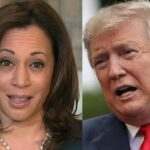 US Presidential Elections 2024: VP Kamala Harris Wins New York, Projections Show Donald Trump...