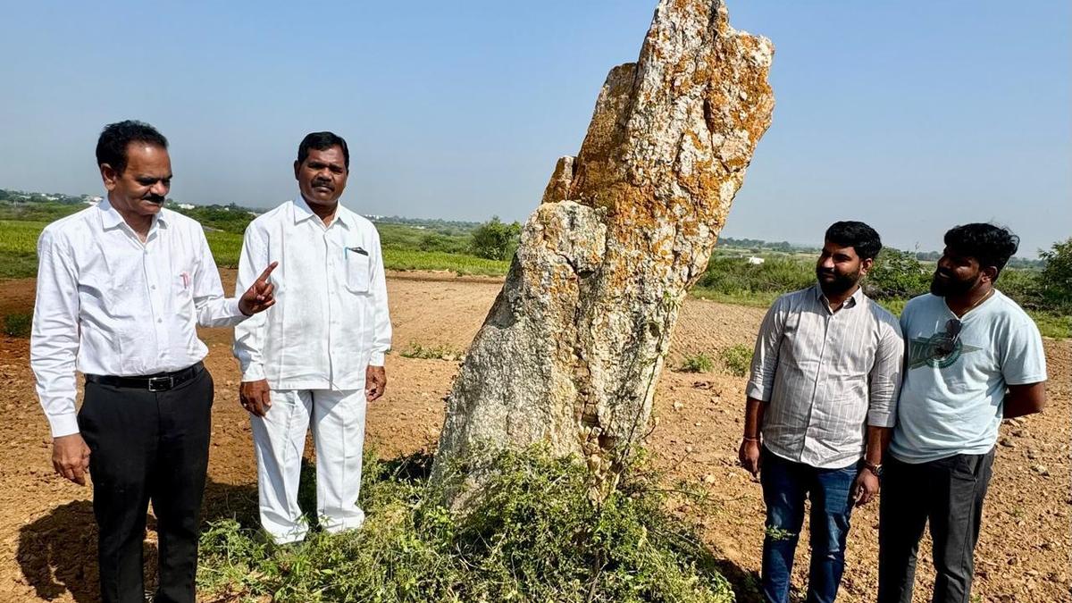 कमासनपल्ली गांव में उपेक्षित लौह युग मेनहिर को विनाश का सामना करना पड़ रहा है