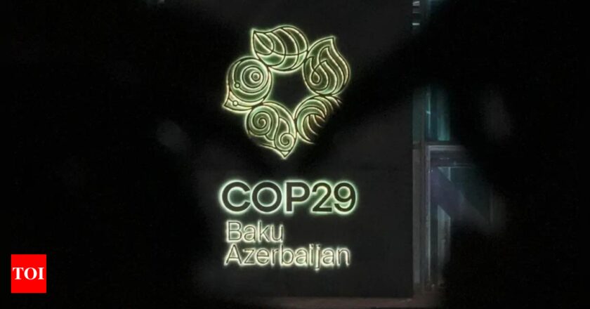 कार्बन क्रेडिट मानकों के निर्माण पर आम सहमति से COP29 को गति मिली, भारत कार्बन बाजार पर काम पूरा करना चाहता है | भारत समाचार