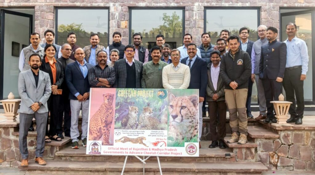 Rajasthan Forest Staff To Be Trained For Cheetah Management Amid Kuno Project Expansion