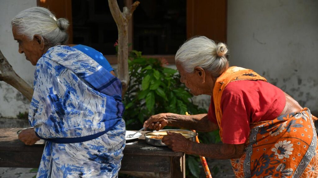 जनसंख्या में गिरावट की लागत क्या है? द हिंदू समझाता है