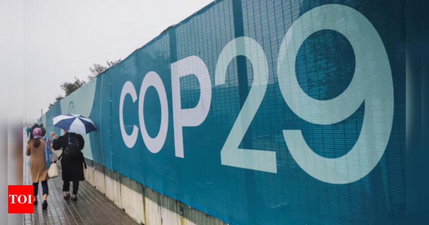 जलवायु वित्त: COP29: भारत ने कार्बन-सघन वस्तुओं पर सीमा कर के लिए यूरोपीय संघ की योजना का विरोध किया, अमीर देशों से साहसिक कार्रवाई की मांग की | भारत समाचार