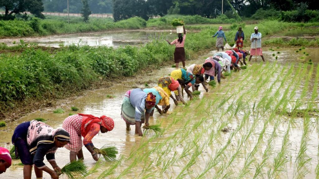 झारखंड विधानसभा चुनाव: कृषि कल्याण योजनाएं, किसान फोकस