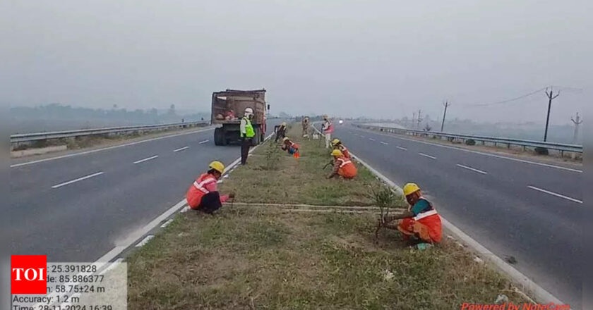 बख्तियारपुर-मोकामा एक्सप्रेसवे मार्च 2025 तक यात्रा में बदलाव लाने के लिए तैयार | पटना समाचार