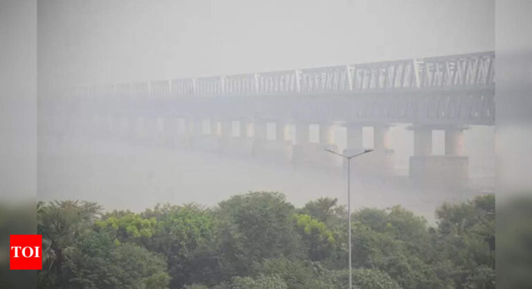 बिहार को वायु गुणवत्ता संकट का सामना करना पड़ रहा है: हाजीपुर को भारत का सबसे प्रदूषित शहर नामित किया गया | पटना समाचार