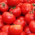 Tomato Prices Fall Over 22% In A Month Due To Better Supply