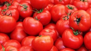 Tomato Prices Fall Over 22% In A Month Due To Better Supply