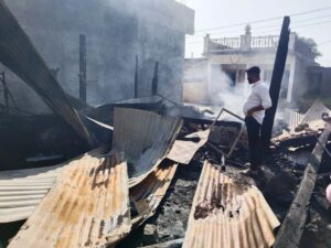 Horrific! 4 Buffaloes, 2 Calves Charred To Death In Madhya Pradesh