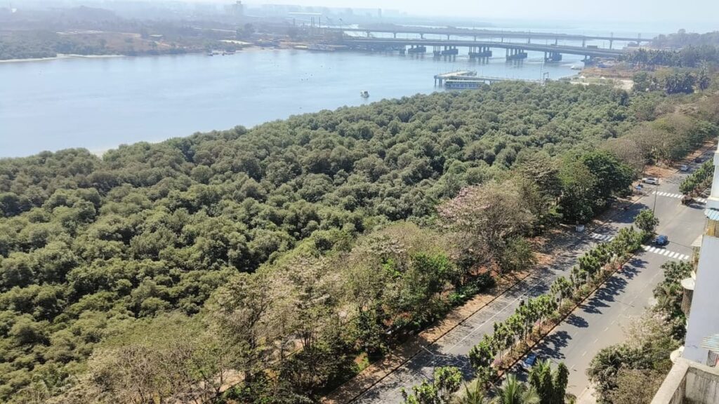 Mumbai: CAT Report Exposes Coastal Zone Management Failures, Enabling Encroachments On Mangroves And...