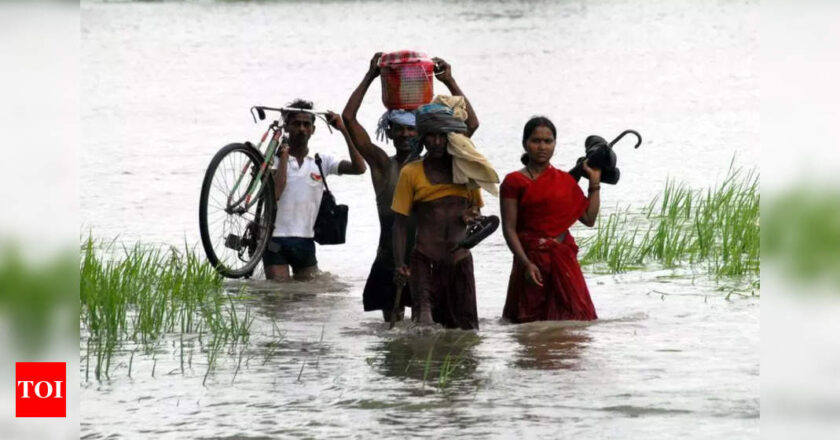 कोसी तटबंध को नौगछिया तक विस्तारित करने की तत्काल मांग: बाढ़ प्रभावित निवासियों के लिए राहत | पटना समाचार