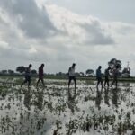 MP: Unseasonal Rains Damage Crops In Jabalpur, Farmers Demand Compensation; Field Survey Underway