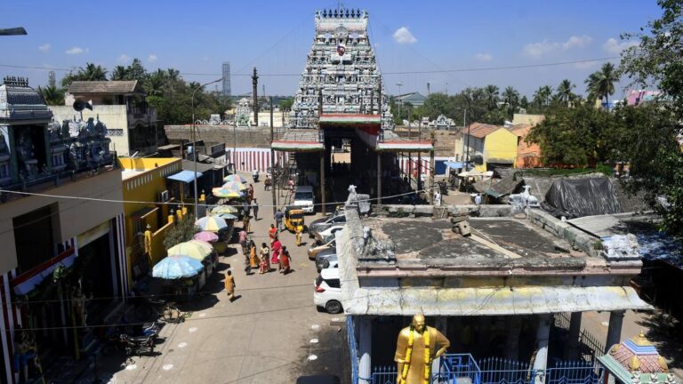 तिरुवोट्टियूर में त्यागराजस्वामी मंदिर में एक वार्षिक तमाशा