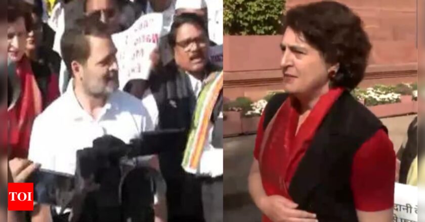 देखें: राहुल गांधी, प्रियंका समेत विपक्षी नेताओं ने अडानी मुद्दे पर संसद के बाहर विरोध प्रदर्शन किया | भारत समाचार