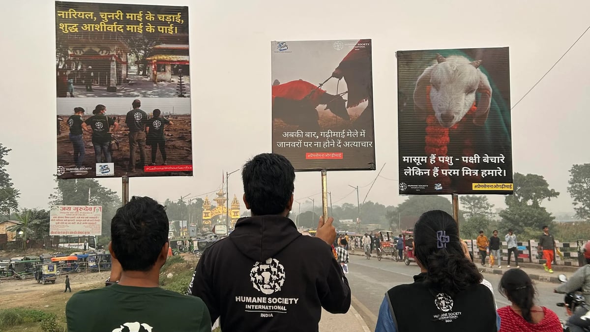 FPJ Campaign: Former MP Maneka Gandhi Urges Nepal VP To Boycott Gadhimai Animal Sacrifice; NGO...