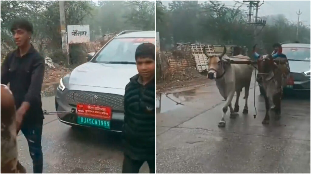 Viral VIDEO: Frustrated Official Gets Electric Car Pulled By Pair Of Oxen After It Breaks Down In...