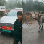 Viral VIDEO: Frustrated Official Gets Electric Car Pulled By Pair Of Oxen After It Breaks Down In...