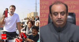 'सांप्रदायिक उन्माद फैलाना ही मकसद': राहुल, प्रियंका गांधी के संभल दौरे पर बीजेपी ने साधा निशाना | भारत समाचार