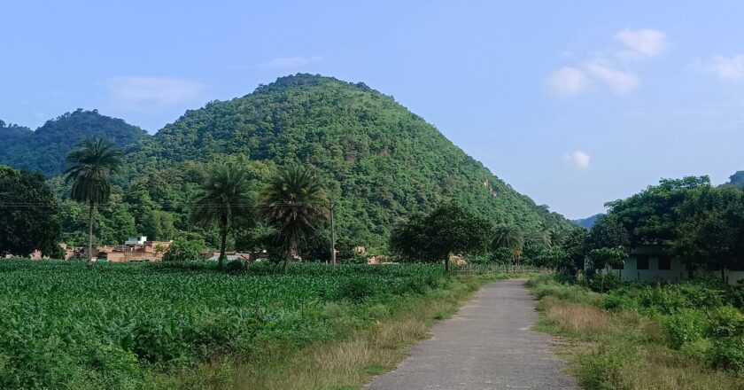 भारत के पूर्व में, किसान भांग की आकर्षक फसल उगाने के लिए जेल जाने का जोखिम उठाते हैं | ड्रग्स