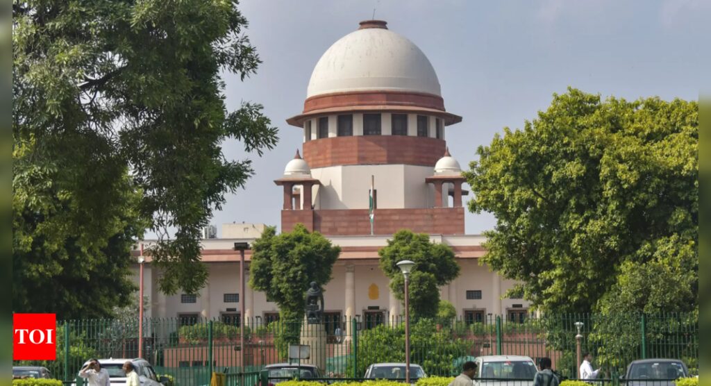 अतुल सुभाष मामला: SC ने दादी की हिरासत याचिका खारिज की, बच्चे को बताया 'अजनबी'