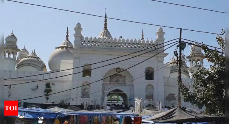 आरटीआई कार्यकर्ता का दावा, प्राचीन मंदिरों की जगह पर बनी है अलीगढ़ की जामा मस्जिद; याचिका दायर करता है | भारत समाचार