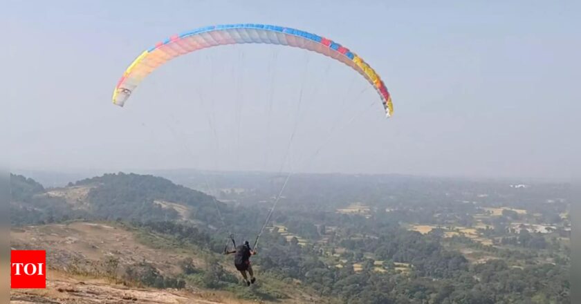 गोवा में पैराग्लाइडिंग गतिविधियों को निलंबित कर दिया गया