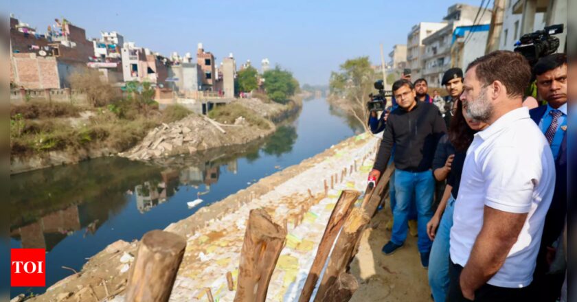 ‘पेरिस जैसी दिल्ली’ में खुले नालों के वीडियो के साथ राहुल गांधी ने अरविंद केजरीवाल पर हमला बढ़ाया | भारत समाचार