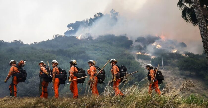 प्रतिदिन बमुश्किल एक डॉलर के लिए सैकड़ों कैदी एलए की आग से लड़ रहे हैं | जलवायु