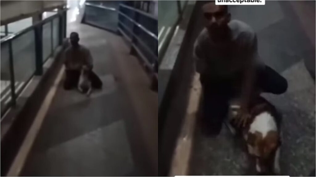 Mumbai: Young Man Caught Raping Stray Dog On Skywalk At Borivali Station; VIDEO Surfaces