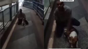 Mumbai: Young Man Caught Raping Stray Dog On Skywalk At Borivali Station; VIDEO Surfaces